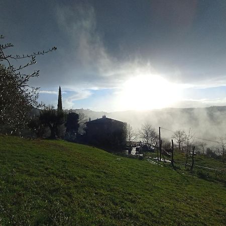 Agriturismo Il Poggio Degli Scoiattoli เปรูจา ภายนอก รูปภาพ