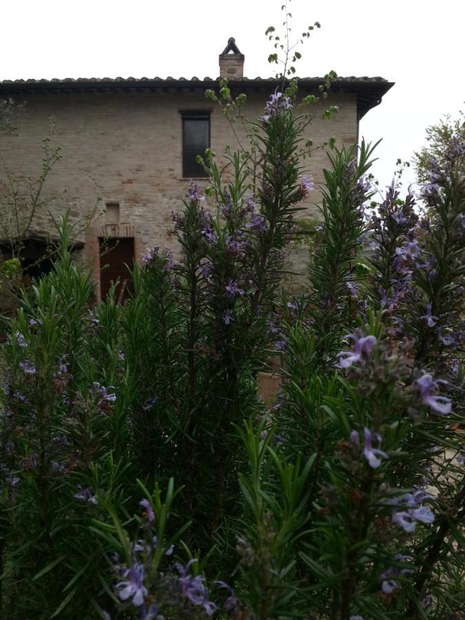 Agriturismo Il Poggio Degli Scoiattoli เปรูจา ภายนอก รูปภาพ