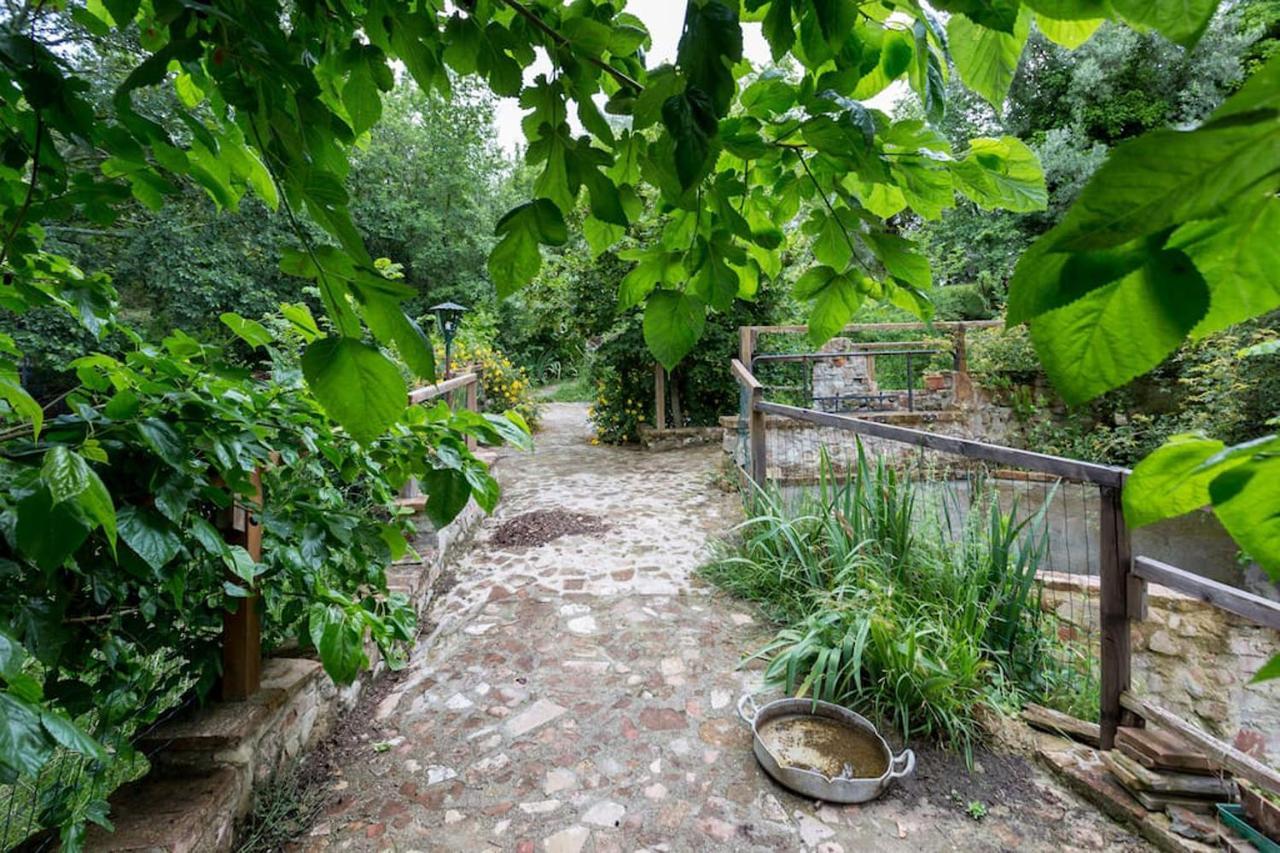 Agriturismo Il Poggio Degli Scoiattoli เปรูจา ภายนอก รูปภาพ